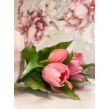 Csodálatos magenta gumi tulipán csokor- 7 szál- Nyilt fejekkel és bimbókkal