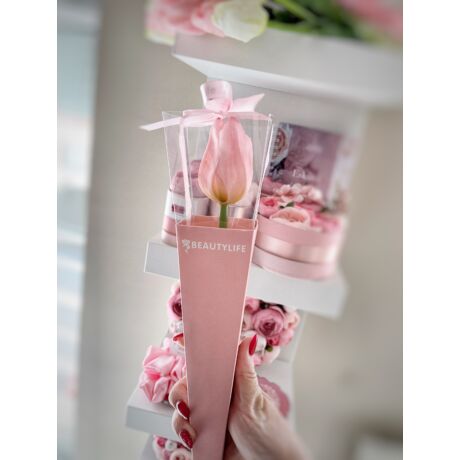Rózsaszín gumi tulipán dobozba csomagolva